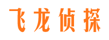 武平侦探社